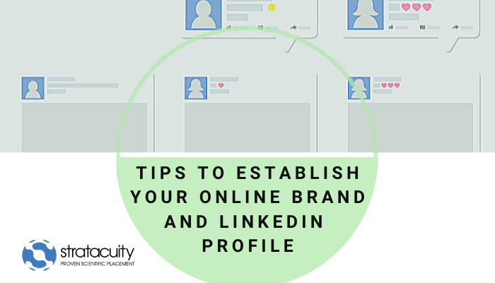 Online Branding and LinkedIn Profiles